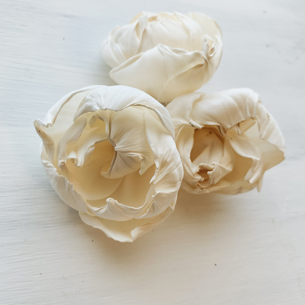 pine and petal market cassidy sola wood peony flower for DIY and crafting