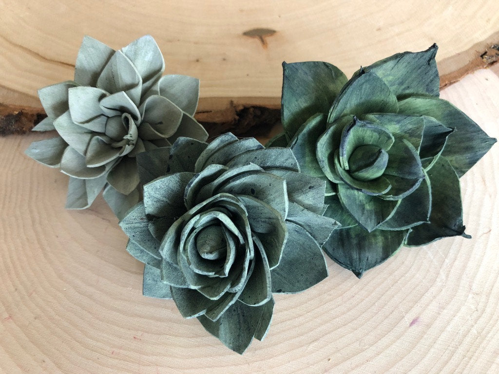 12 Blue and Green Delicate Wood Succulents - 2" - PineandPetalWeddings
