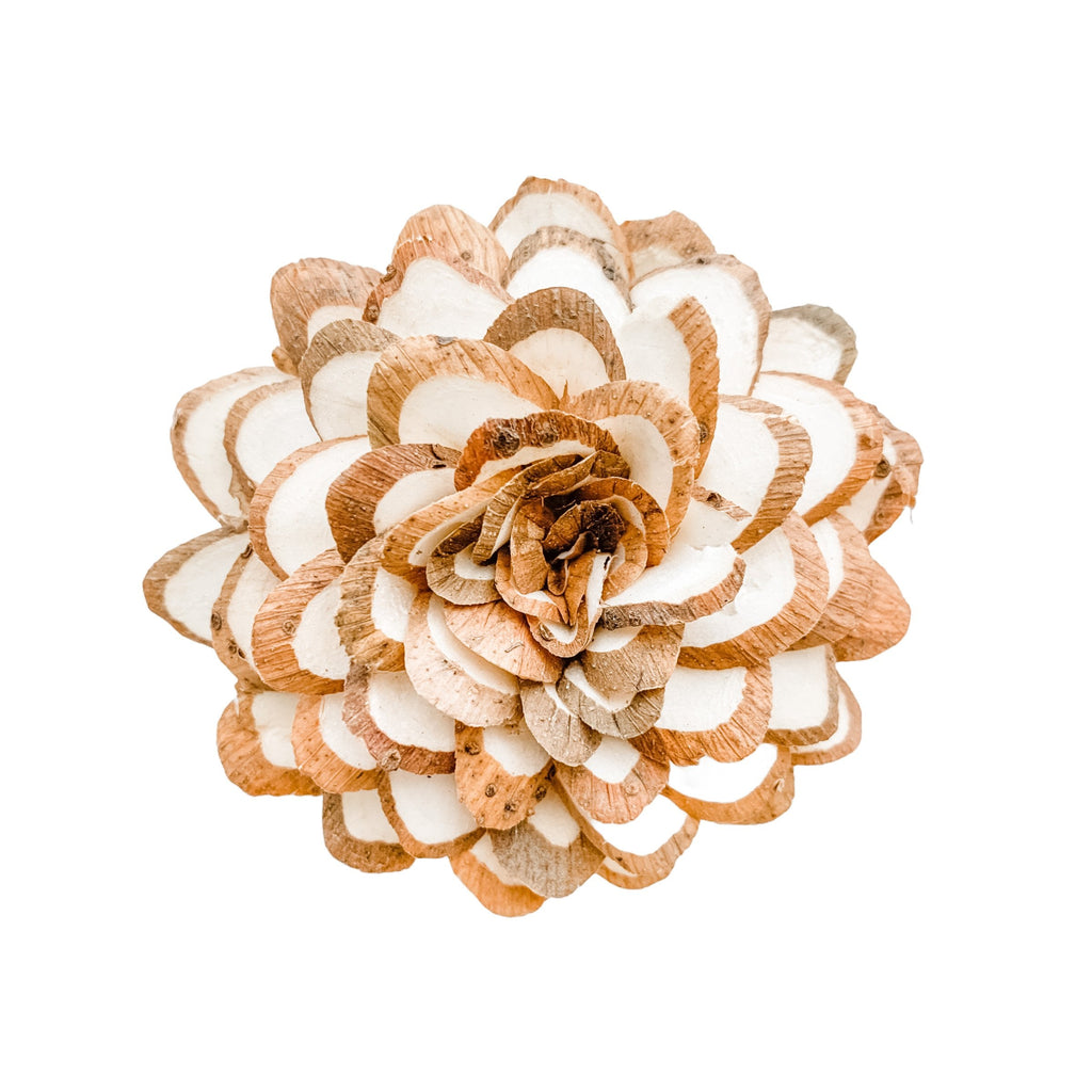 madison sola wood almond flower with bark for DIY projects and crafts