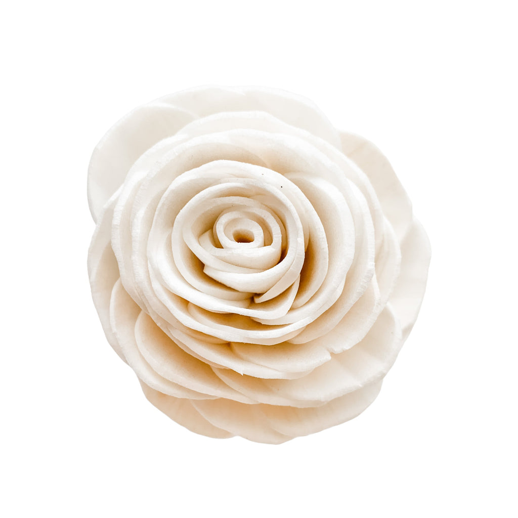 small grace rose roses sola flowers pine and petal market undyed raw