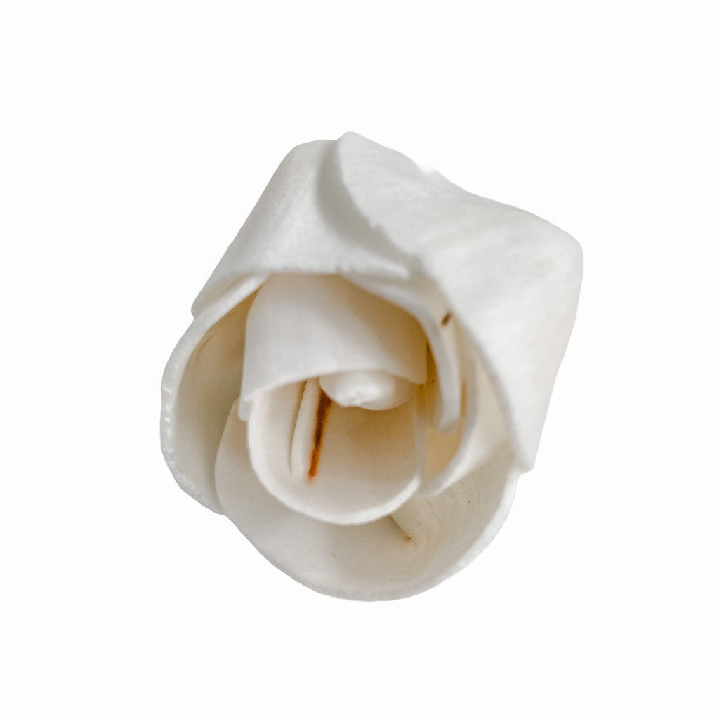 undyed ella rose bud by pine and petal