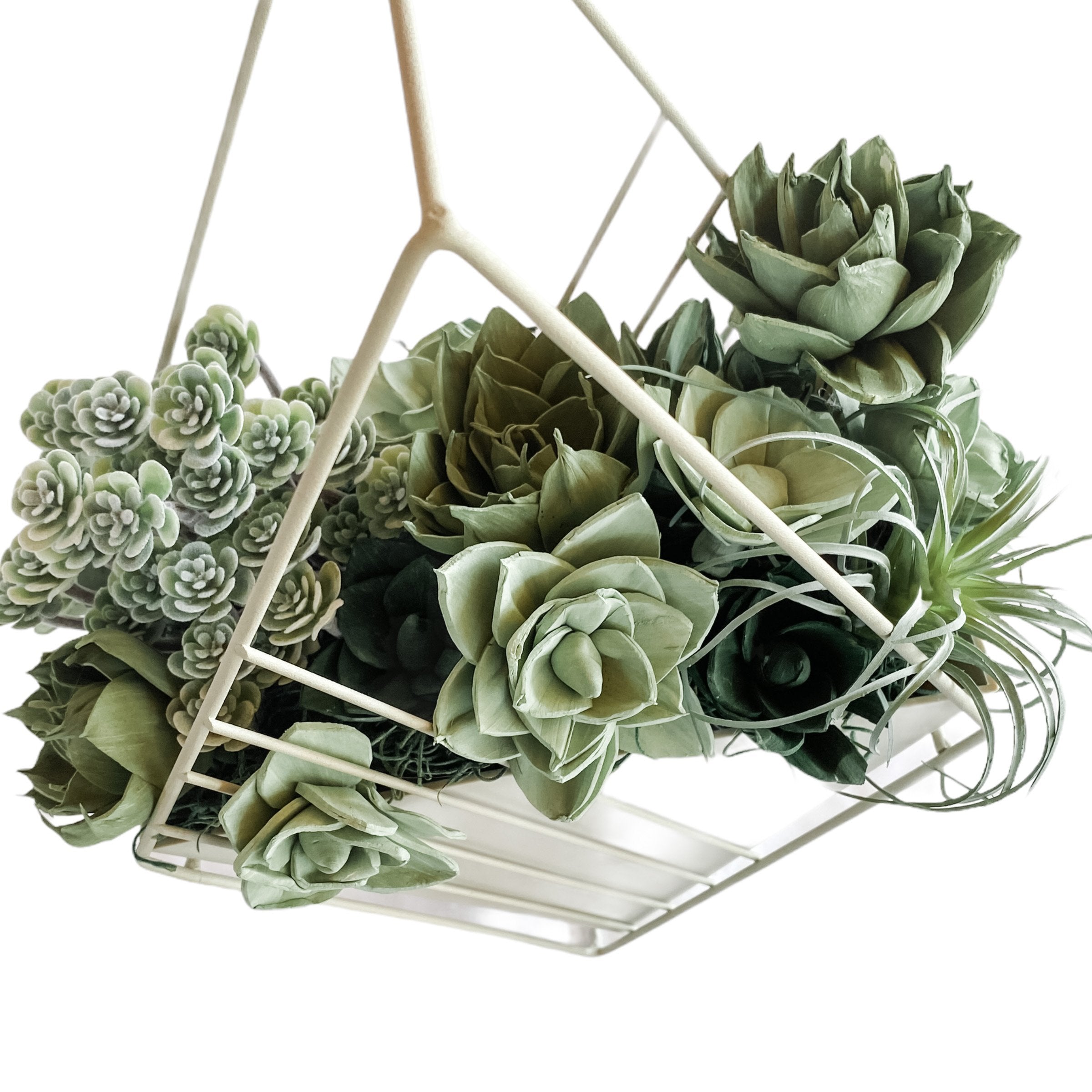 succulent planter hanging Hanging Succulent Wall Diamond