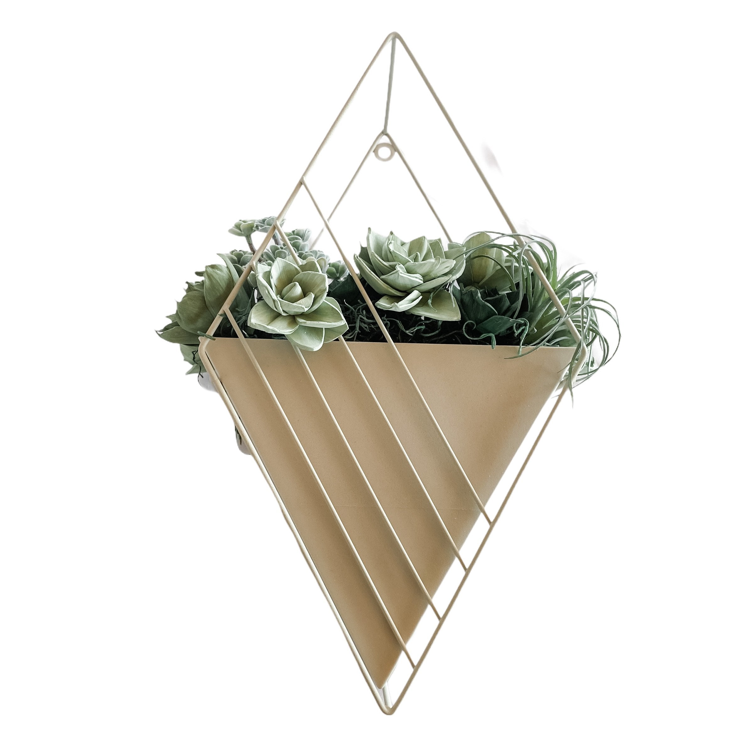 succulent triangle Hanging Succulent Wall Diamond