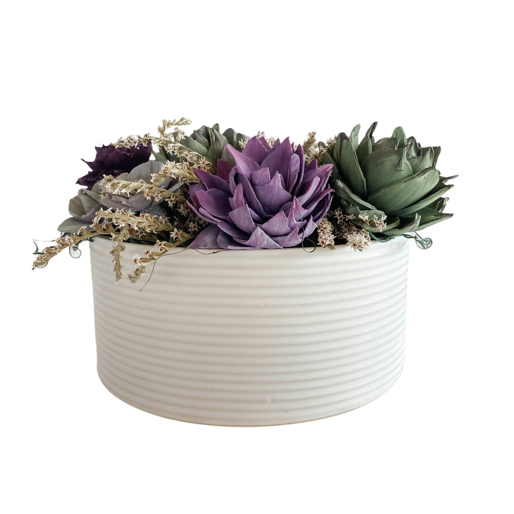 sola flower succulent dish garden arrangement for home decor or birthday gift