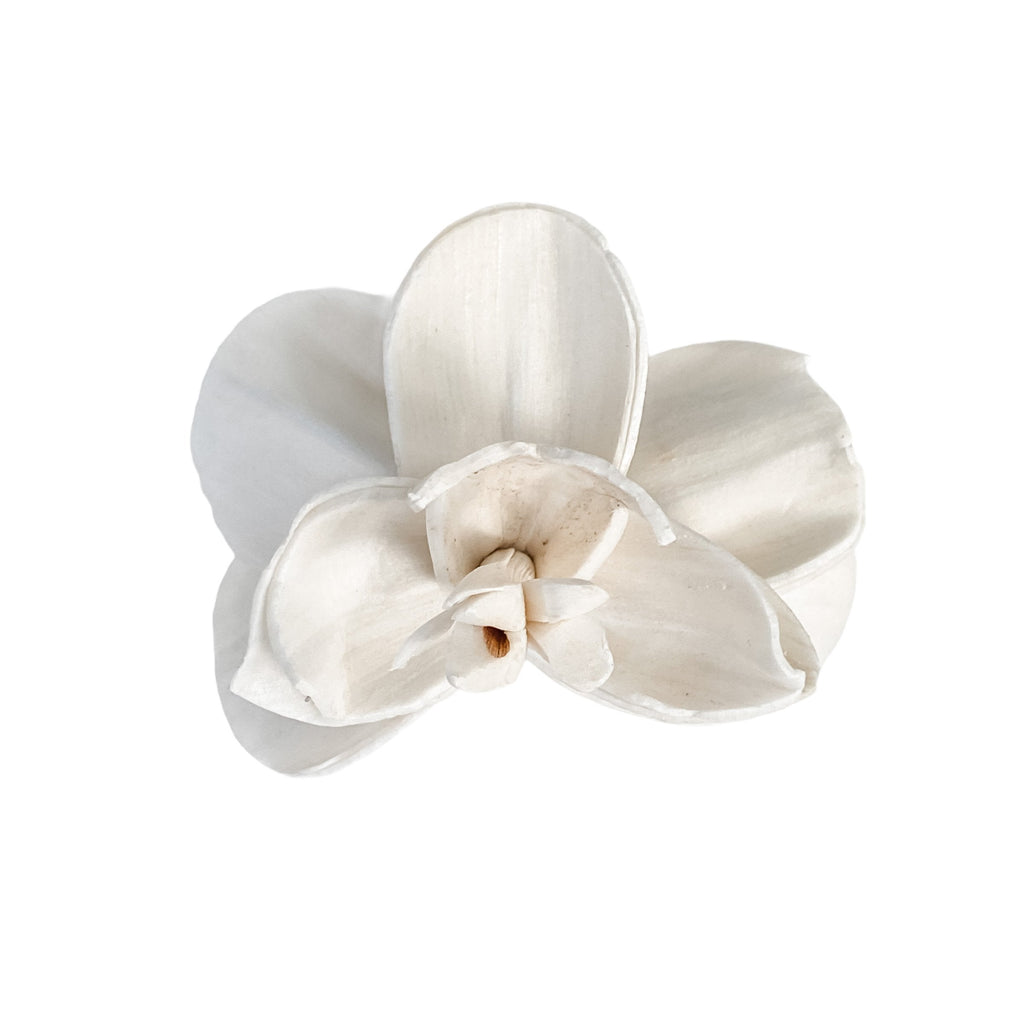 2" sola wood orchid flower in your choice of colors