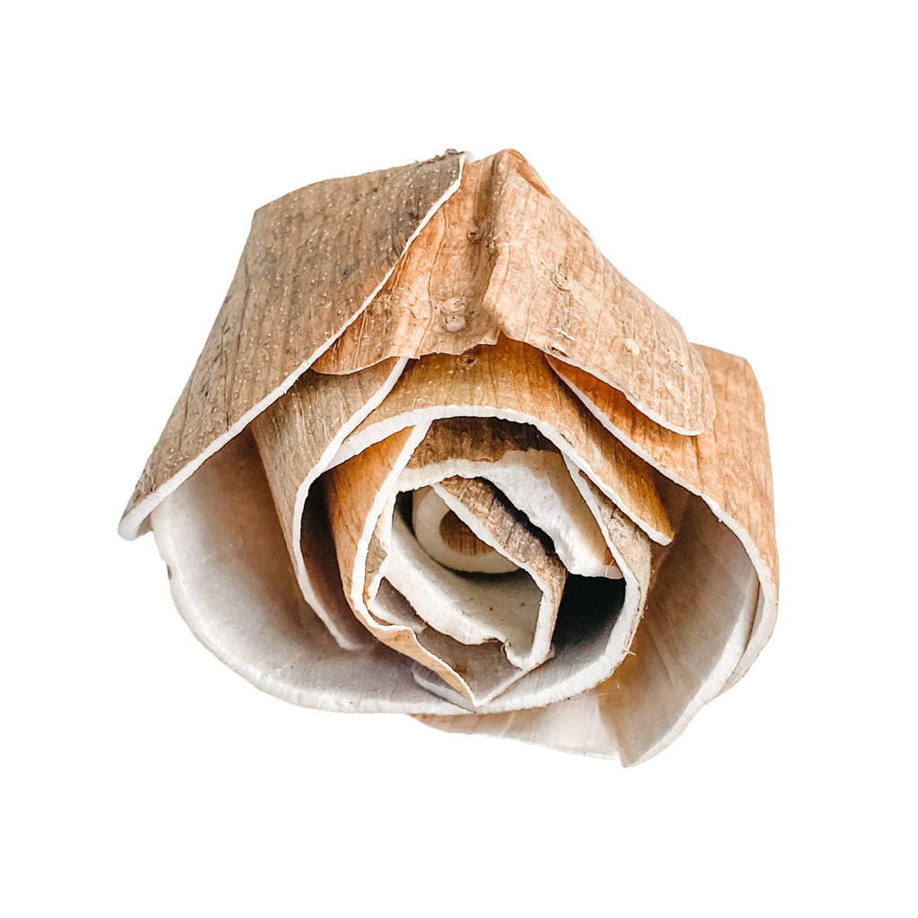 mara rose bud sola wood flower with skin for bulk wedding DIY projects or home decor projects