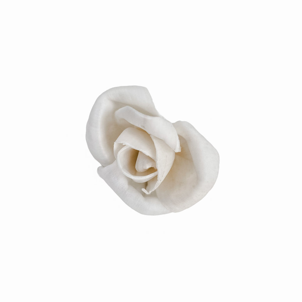 Belle sola wood bird rose flower from pine and petal in 1"