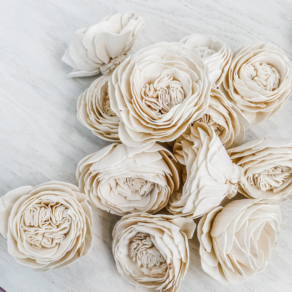 group bulk bundle Carlotta roses set sola pine and petal market