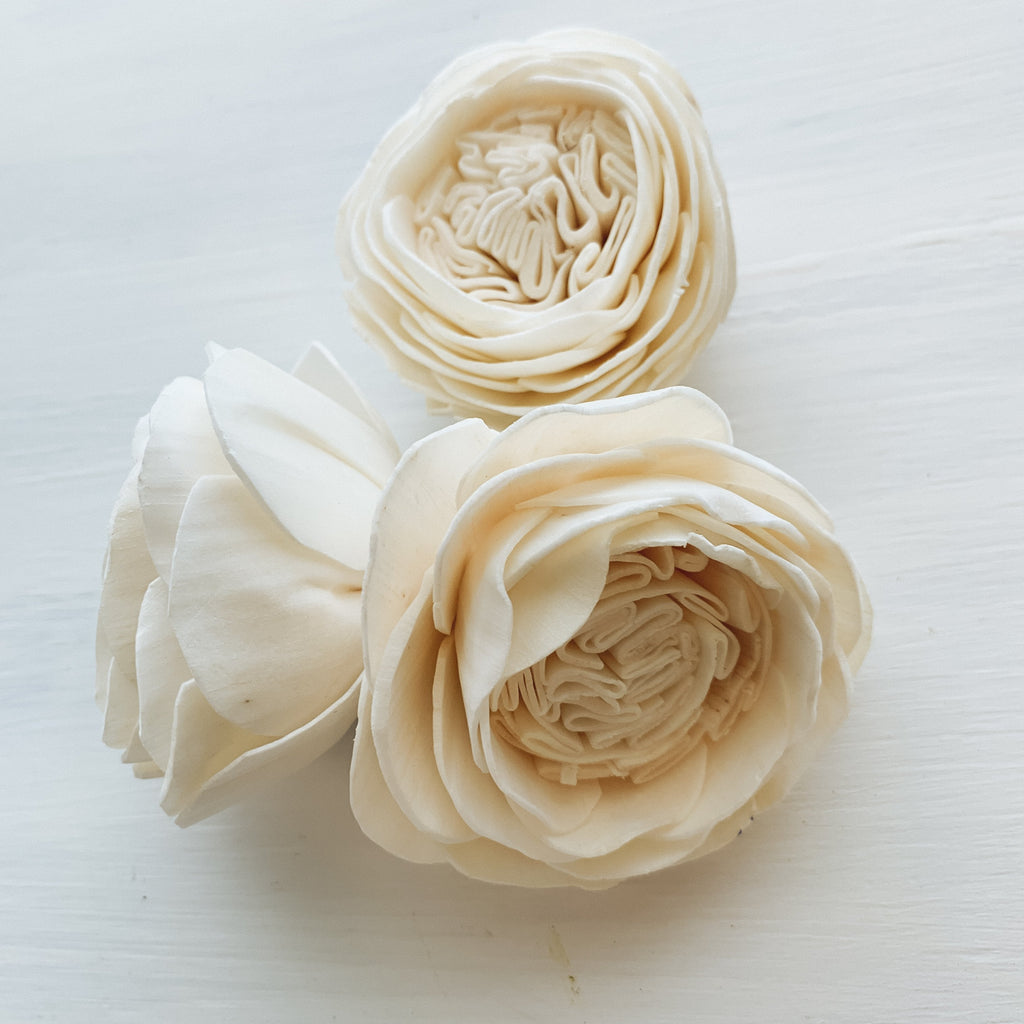 buy sola wood english roses in bulk from pine and petal