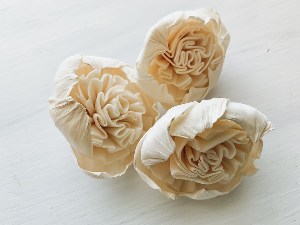 english rose sola wood flower charlotte bulk by pine and petal
