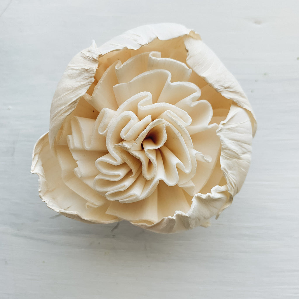 2" charlotte english garden rose made from sola wood