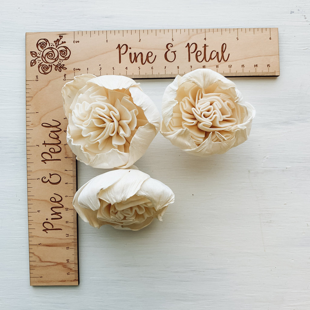 2" sola wood flowers of charlotte english garden rose by pine and petal