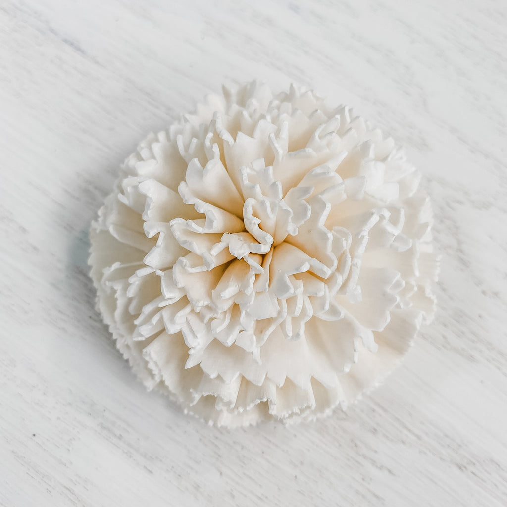 carnation sola wood flower by pine and petal dyed or undyed