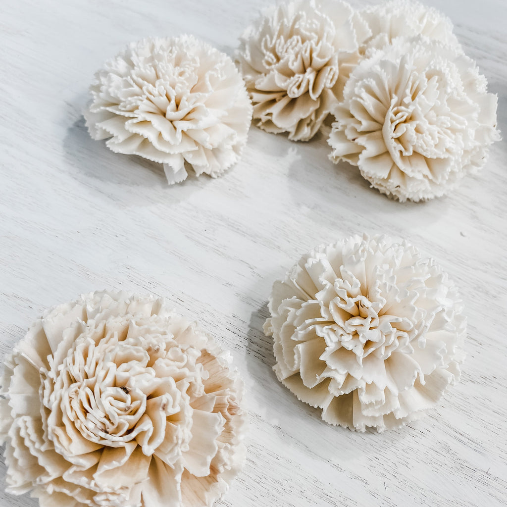 cordelia carnation sola wood flower 3" assortment by pine and petal