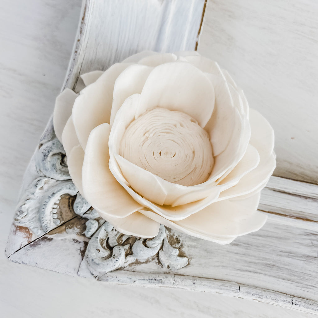 buy bulk sola wood flowers in dorothy poppy style from pine and petal