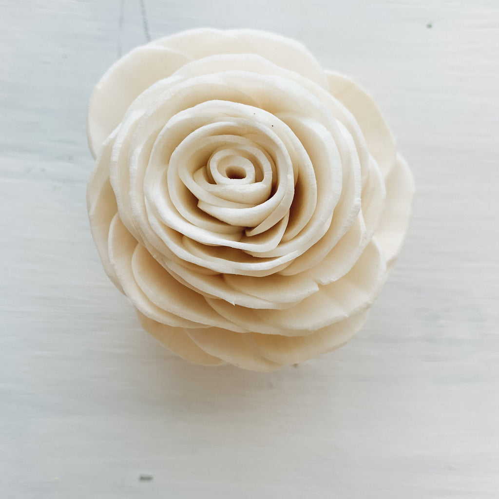 soft delicate sola grace rose wood flowers