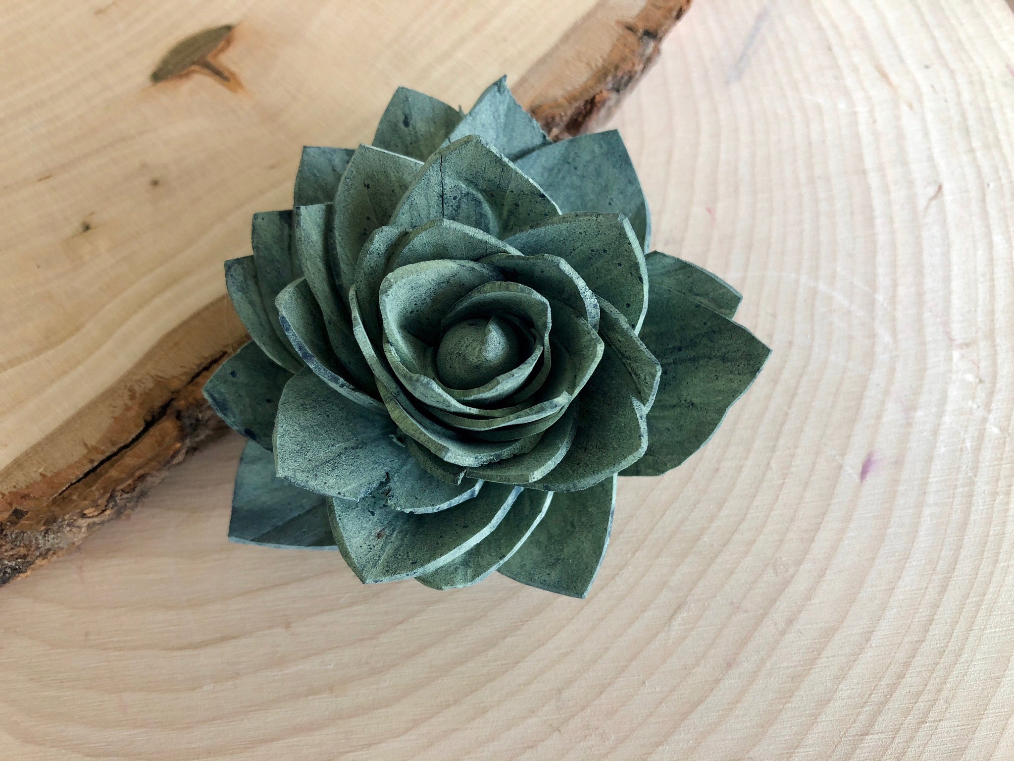 sola wood succulents Blue and Green Delicate sola wood flower Succulents – Pine and Petal Weddings