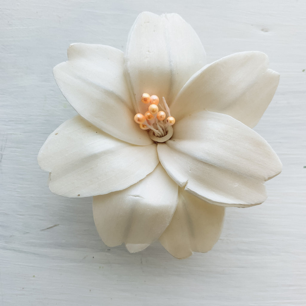buy predyed sola wood lily flowers