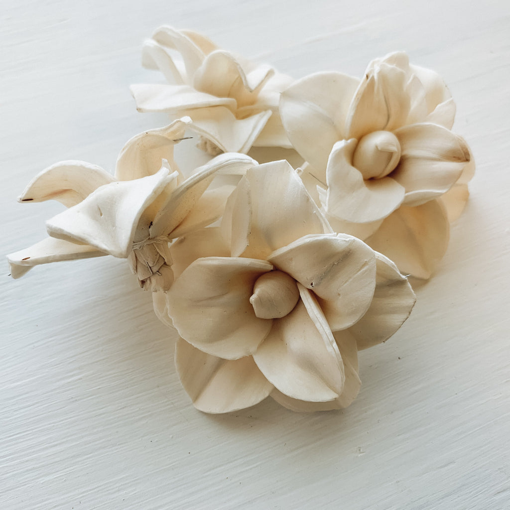 buy lily sola wood flowers in bulk pre-dyed or undyed from pine and petal