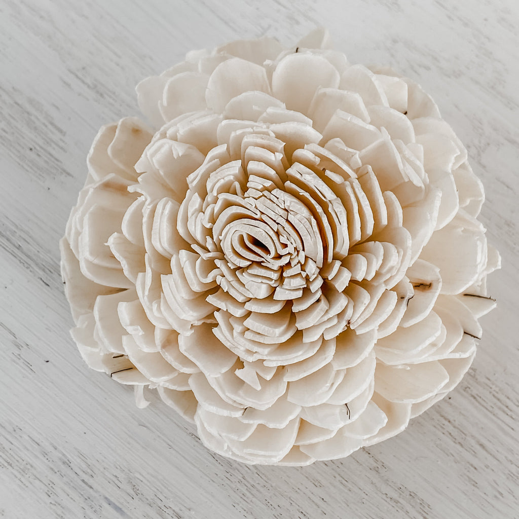 1 dozen belli sola wood flower blossoms in your choice of colors
