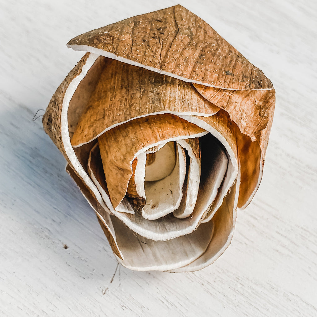 pine rose bud with skin sola wood flower from pine and petal for rustic wedding bouquet DIY