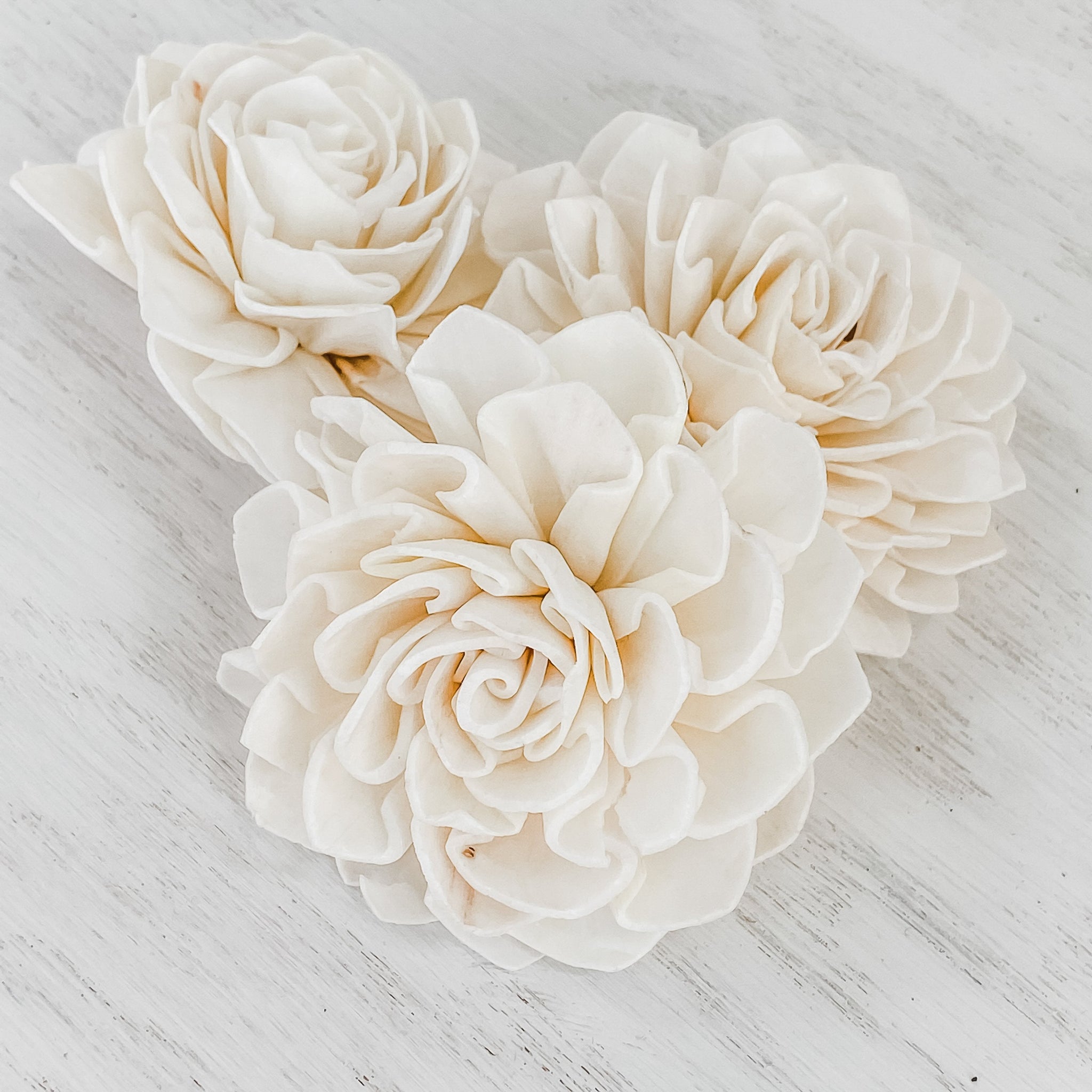 Dhalia Natural Bark Arrangement