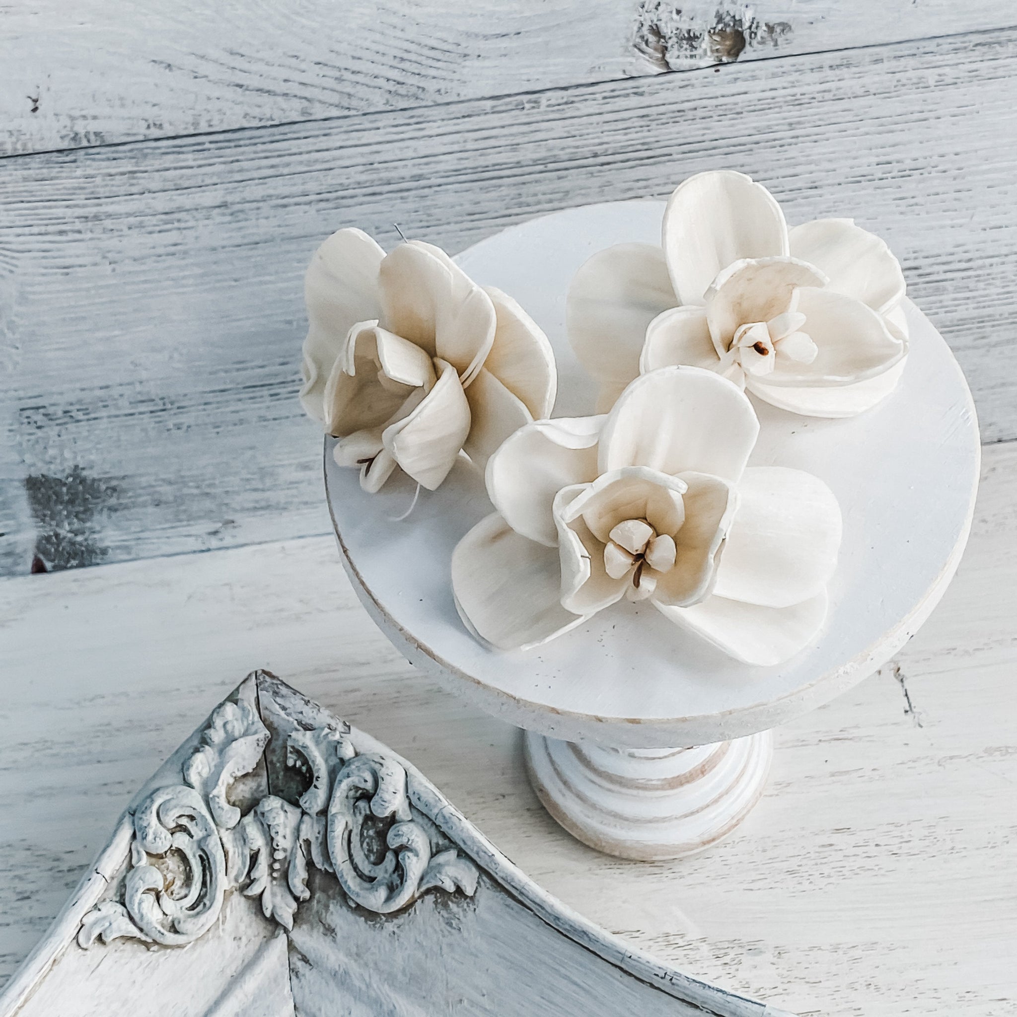 Opal Orchid - 12 Loose Sola Flowers - Approximately 2