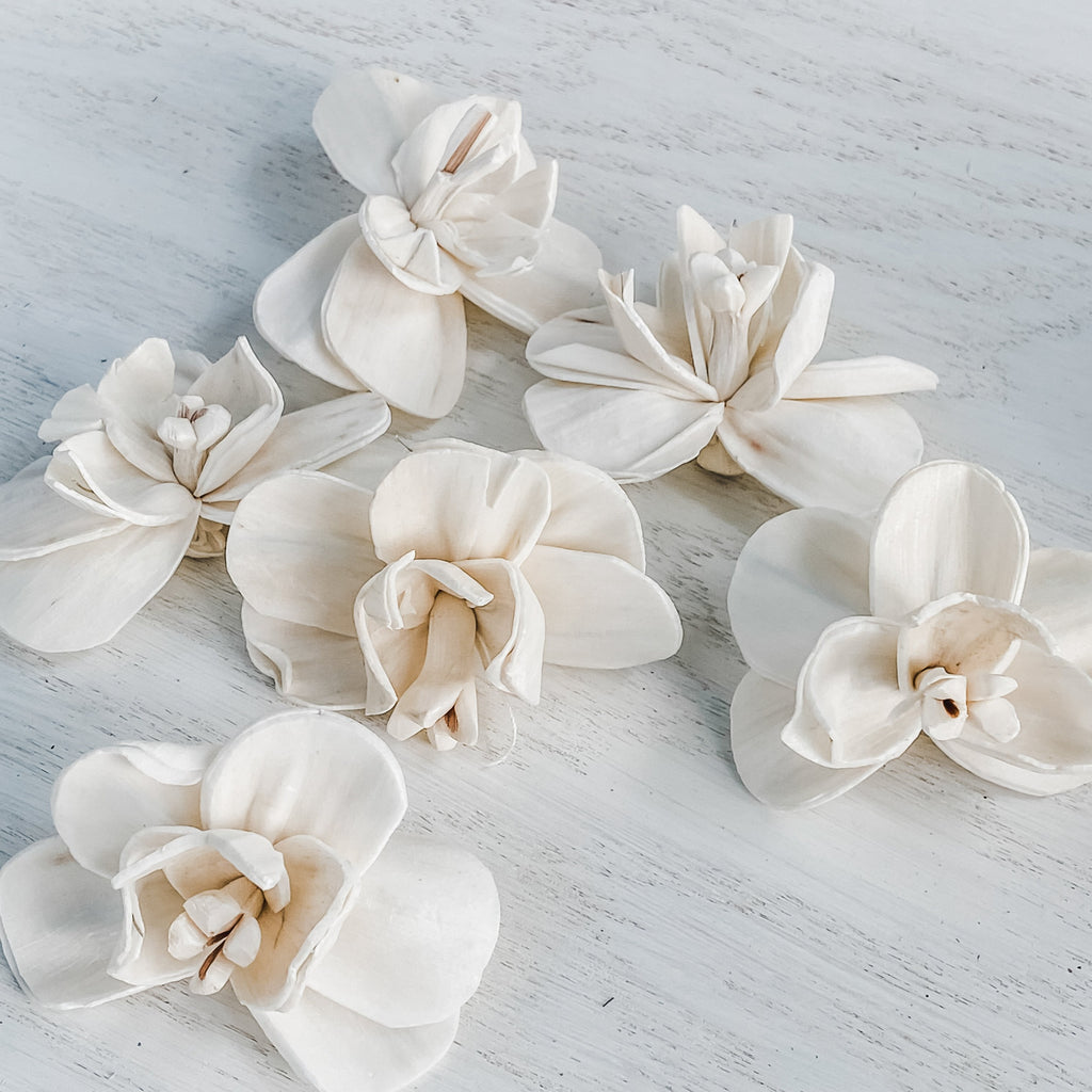 orchid flowers made from sola wood for weddings and DIY 
