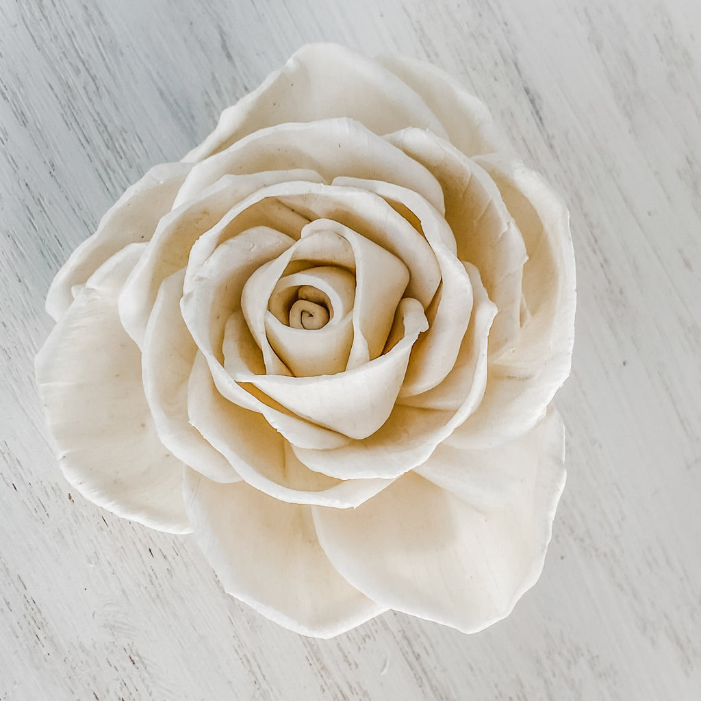 buy bulk sola wood roses from pine and petal predyed assortment
