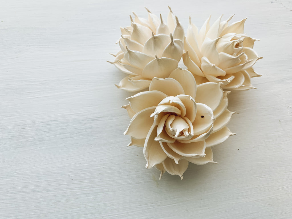 sola wood succulents Sahara Succulent Style - 6 Loose Sola Flowers - Approximately 2.75"