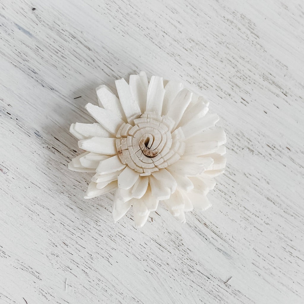 tiny daisy sola wood flowers in your choice of colors