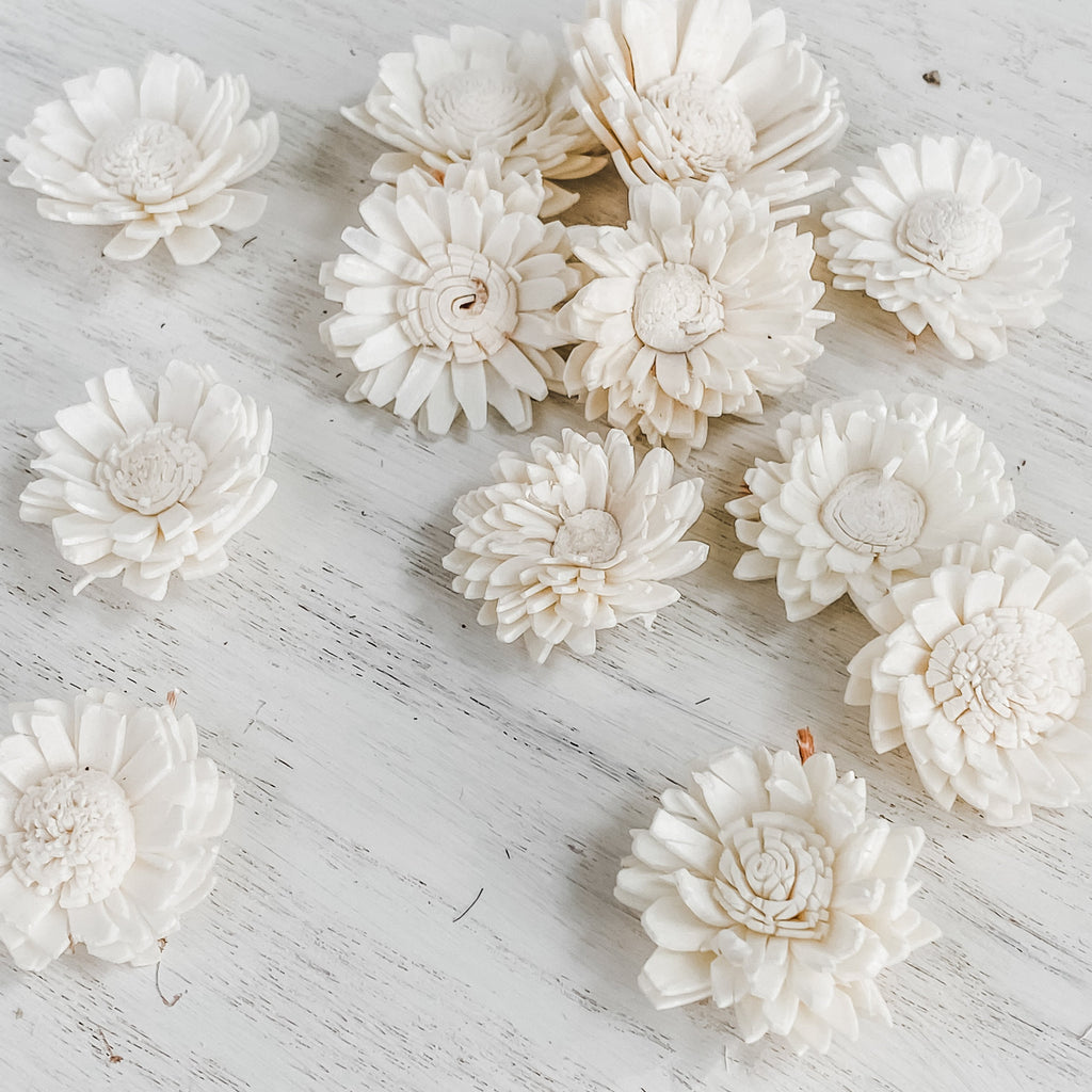 predyed sola wood tiny daisies for wedding decor