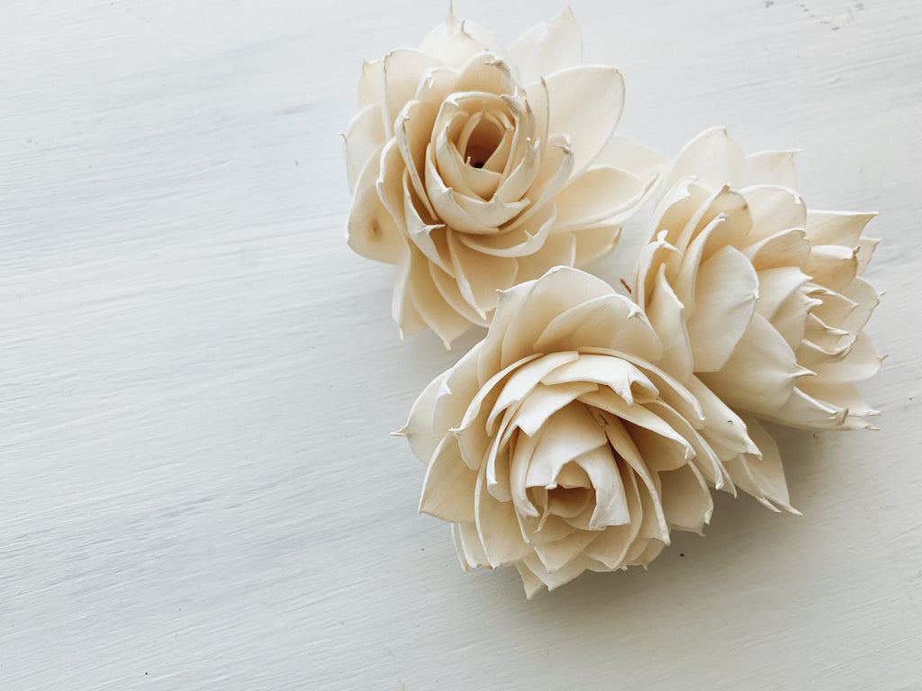 buy sola wood succulent style flowers for garden wedding DIY and crafting