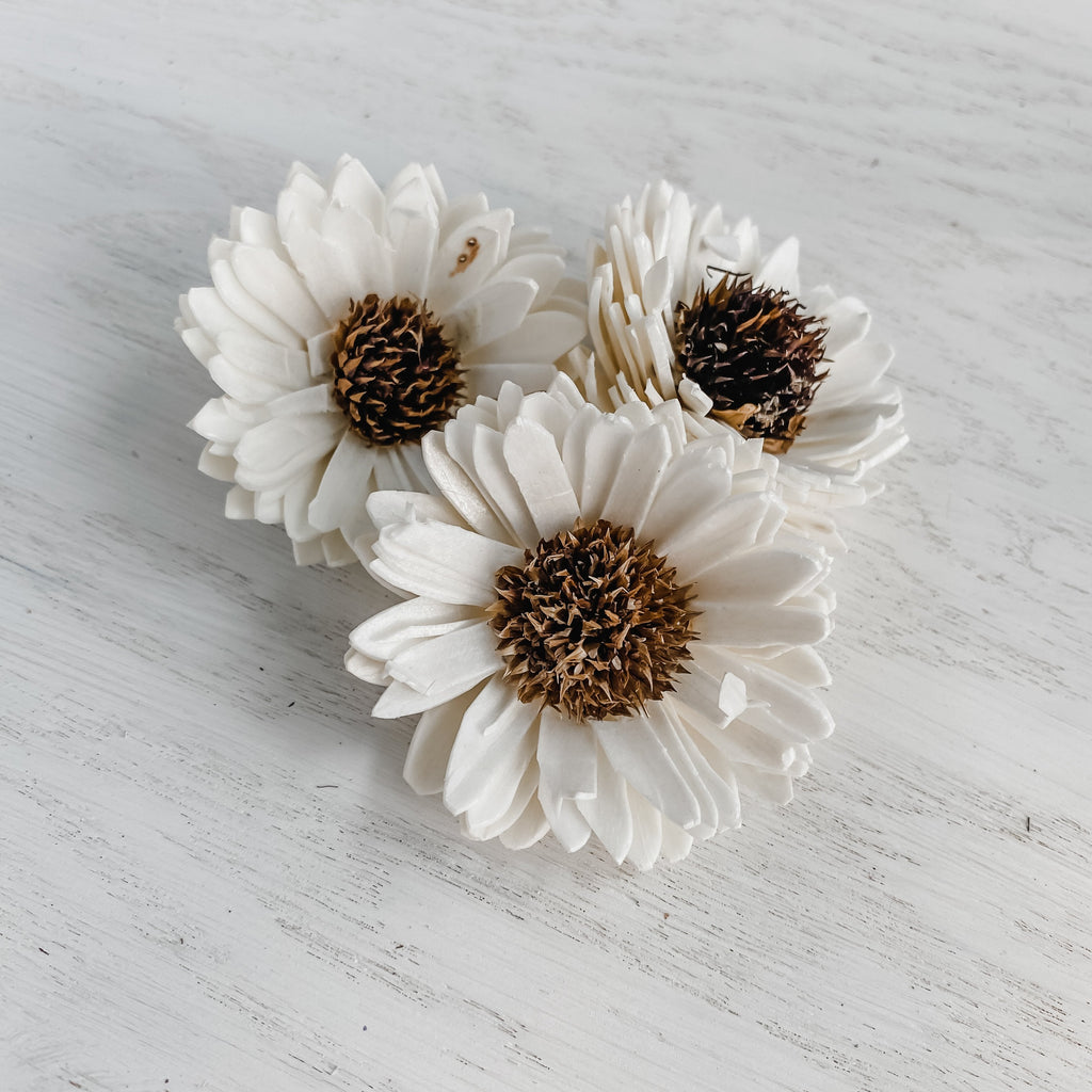 sola wood black eyed susan flowers in golden yellow for bouquets