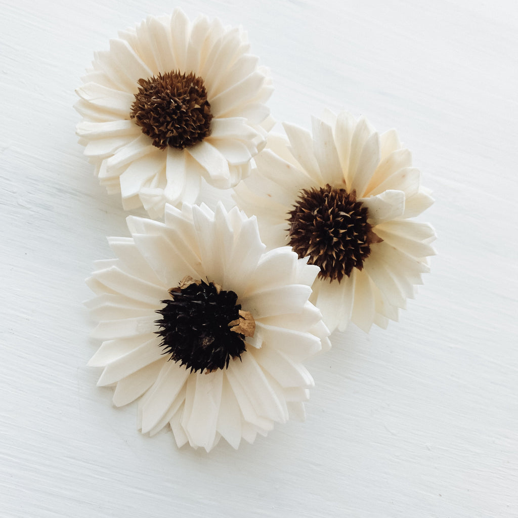 buy sola wood sunflowers or black eyed susans in 2.25-2.75" for crafting
