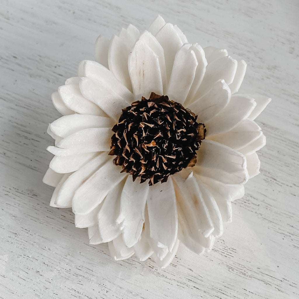 2" sola black eyed susan or sunflower for wedding bouquet or crafting
