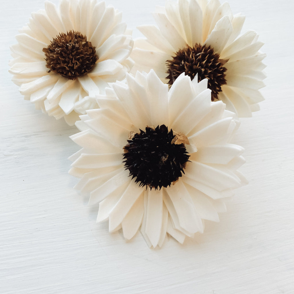 sola black eyed susan flowers made from delicate wood for crafting